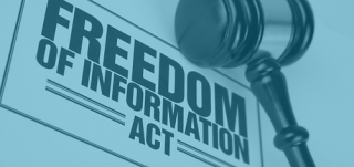 Freedom of Information image